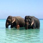 Elephant Beach Havelock Island