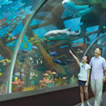 Singapore S.E.A. Aquarium