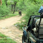 Sariska National Park Jeep Safari